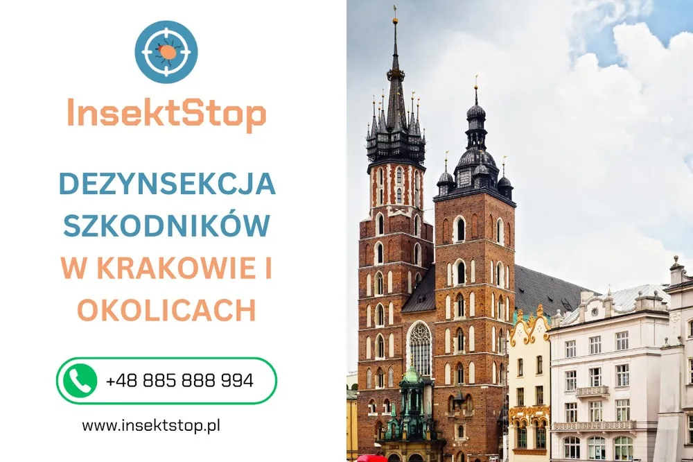 dezynsekcja szkodników Kraków